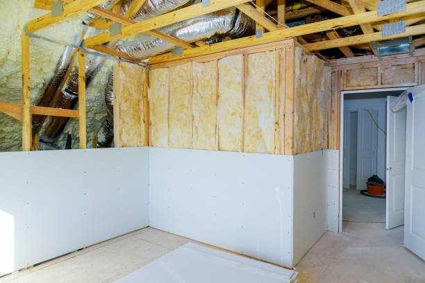 Best Specialized Insulation Services in Collierville, TN