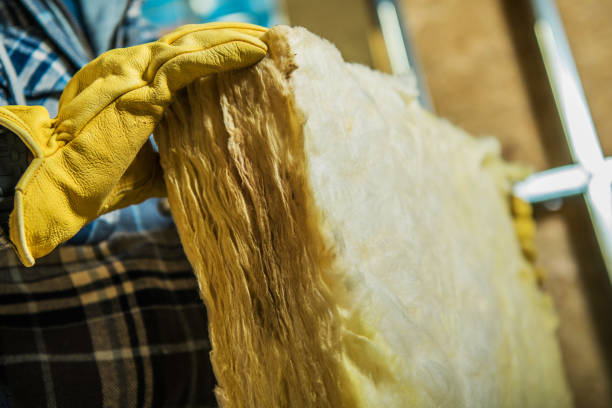 Types of Insulation We Offer in Collierville, TN