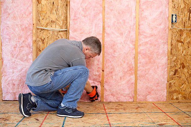Types of Insulation We Offer in Collierville, TN