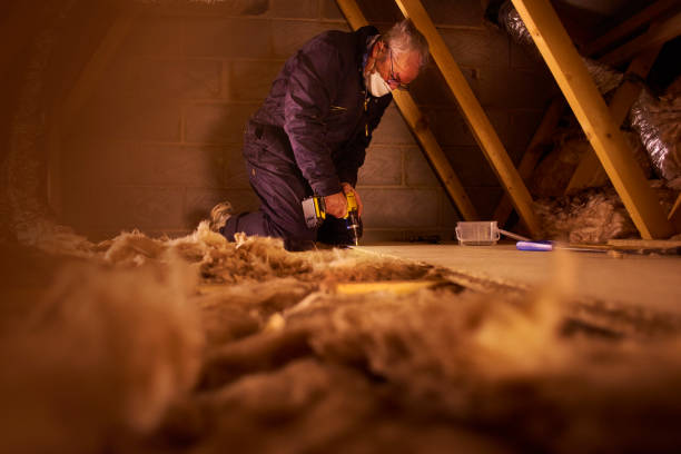 Best Cellulose Insulation in Collierville, TN