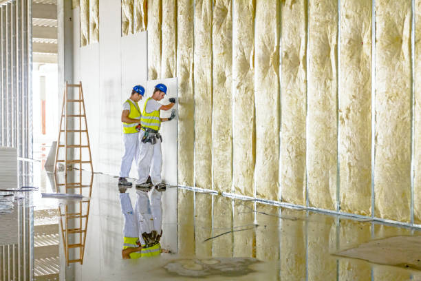 Best Blown-in Insulation in Collierville, TN